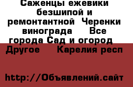 Саженцы ежевики безшипой и ремонтантной. Черенки винограда . - Все города Сад и огород » Другое   . Карелия респ.
